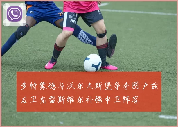 多特蒙德与沃尔夫斯堡争夺图卢兹后卫克雷斯维尔补强中卫阵容